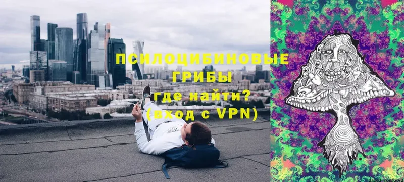 Псилоцибиновые грибы мицелий Тольятти